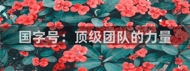 歪歪漫画sss漫画入口：国字号：顶级团队的力量